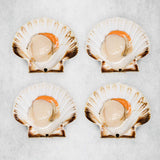 Scallops in the Half-shell