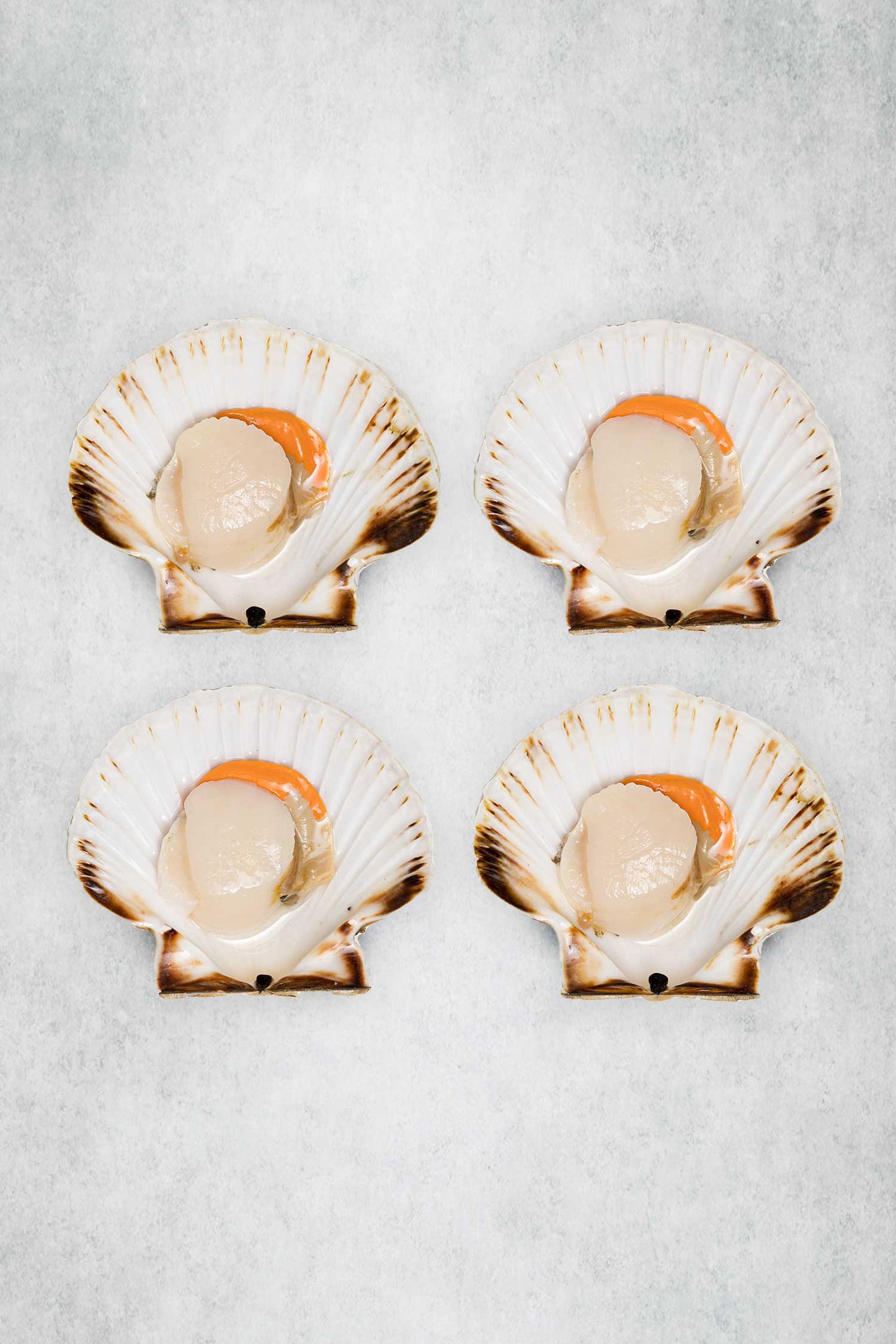 Scallops in the Half-shell