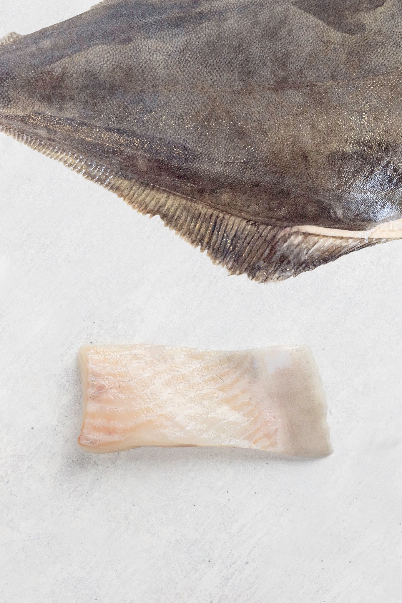 A portion of halibut from Rockfish delivered nationwide the next day sits under the whole fish