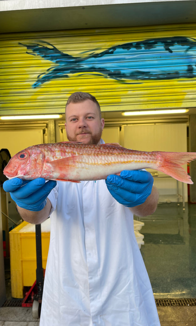 Mitch's Pick - Red Mullet 450g