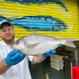Market Pick - Black Sea Bream 1.1 kg
