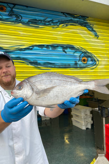Market Pick - Black Sea Bream 1.1 kg