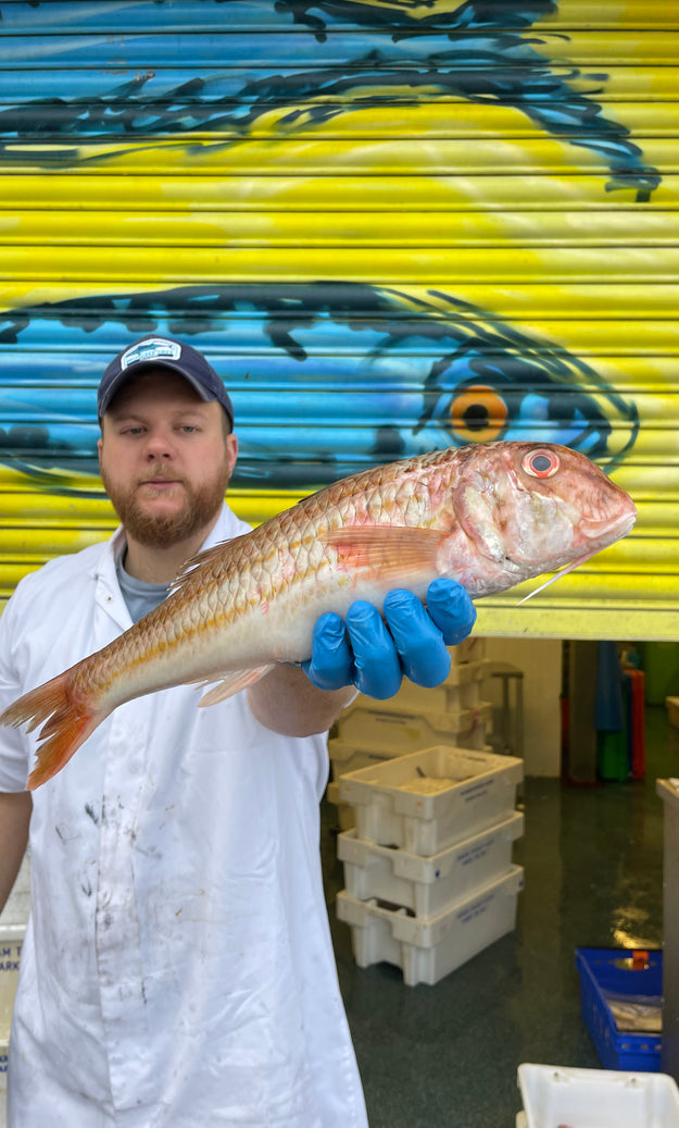 Mitch's Pick - Red Mullet 800g