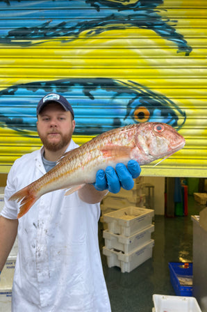 Mitch's Pick - Red Mullet 800g