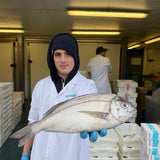 Market Pick - Black Sea Bream 950g