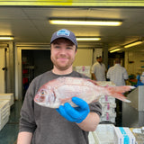 Market Pick - Couches Sea Bream 3-400g