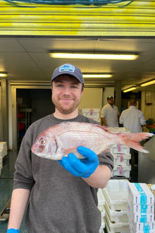 Market Pick - Couches Sea Bream 3-400g