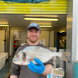 Market Pick - Wild Gilt Head Bream 700g