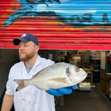 Market Pick - Wild Gilt Head Bream 500g