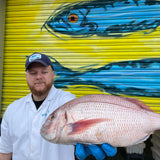 Market Pick - Couches Sea Bream 600g