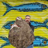 Large format Turbot from Rockfish