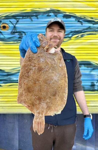 Sole Rack Fish Fresh Whole Lemon Sole - Fresh sustainable fish delivered next day ...
