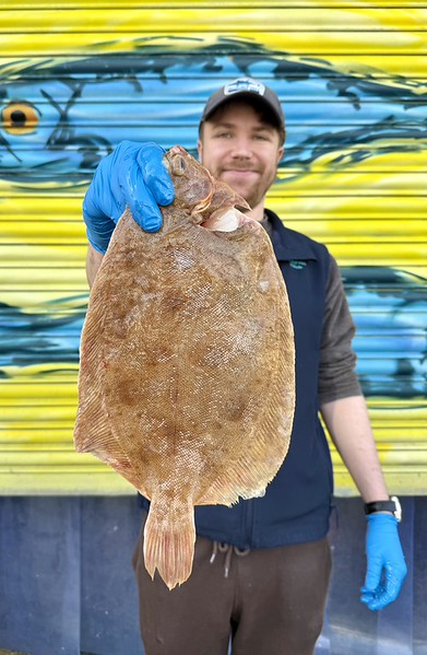 Mitch's Pick - Lemon Sole 700g