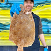 Market Pick - Lemon Sole 600g
