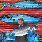 Market Pick - Sea Bass 2kg