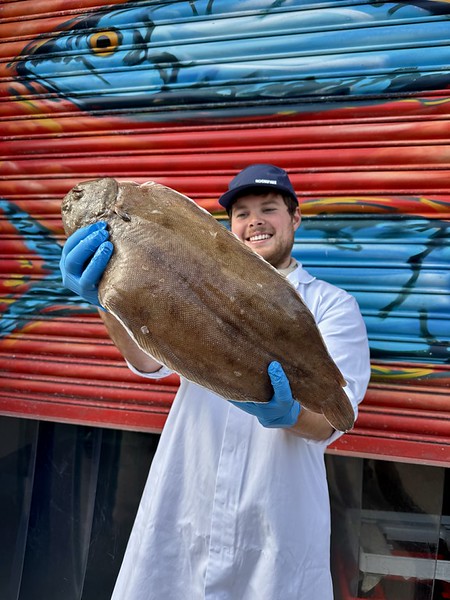 Market Pick - Dover Sole 950g
