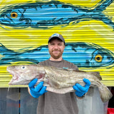 Market Pick - Cod 3.9kg