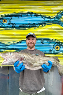 Market Pick - Cod 4.9kg