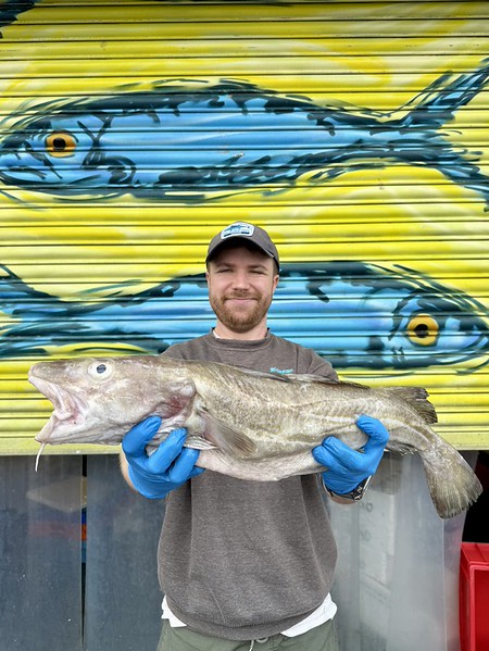 Market Pick - Cod 3.8kg