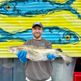 Market Pick - Cod 1.9kg
