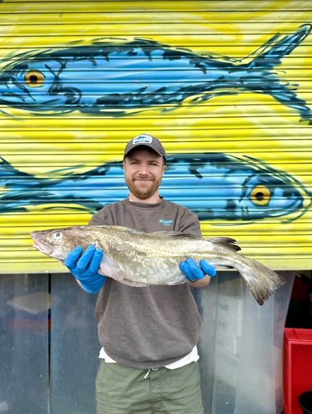 Market Pick - Cod 2.1kg