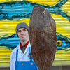 Market Pick - Dover Sole 900g