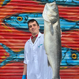 Market Pick - Sea Bass 3kg