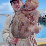 Prime Fish John Dory