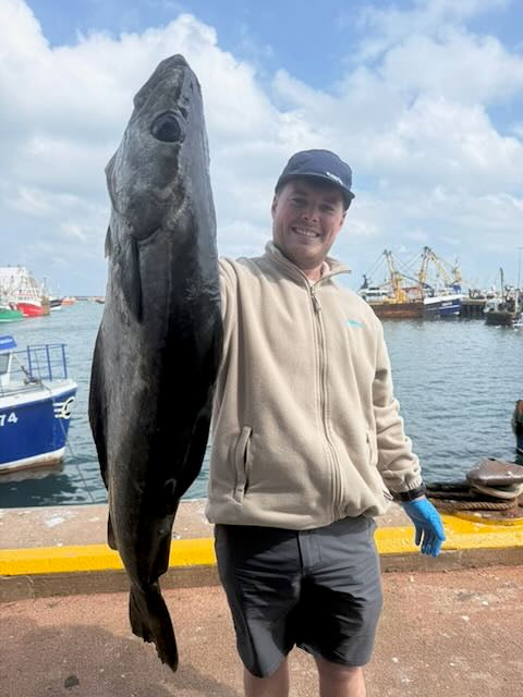 Prime Fish - Pollack