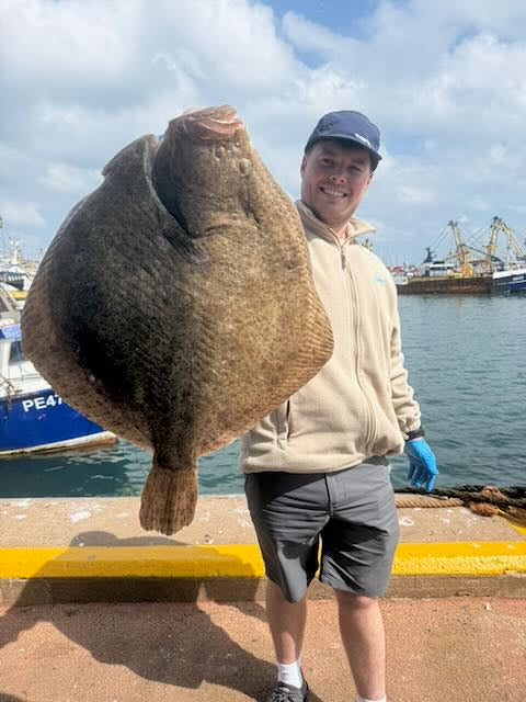 Prime Fish Turbot