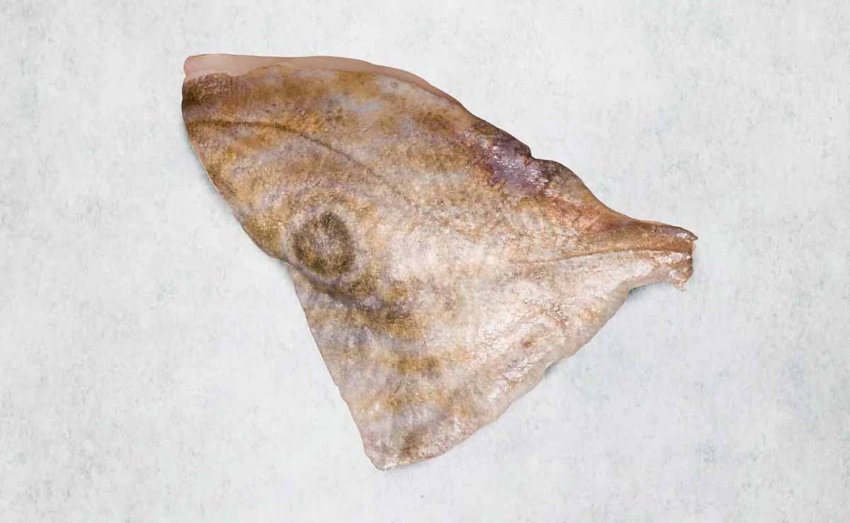 John Dory Fillet