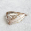 John Dory to Share