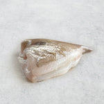 A portion of John Dory on the bone from the Online Seafood Market. Fresh, wild caught John Dory delivered across the UK the next day if ordered online before 2pm. 