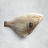 John Dory to Share