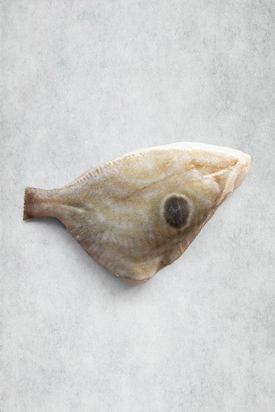 John Dory to Share