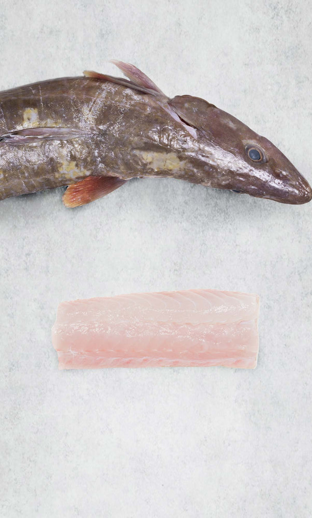 Ling Fillet - Frozen – Rockfish