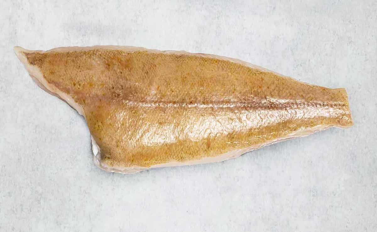 Megrim Sole portion - mobile