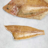 Megrim Sole - Frozen