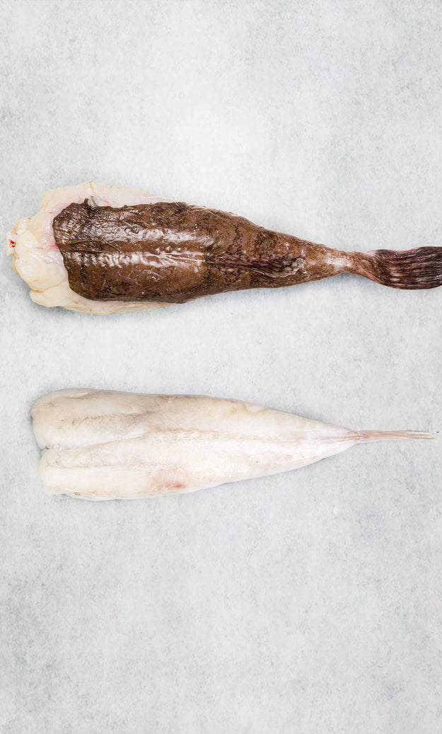 Monkfish Whole Tail for One - Frozen