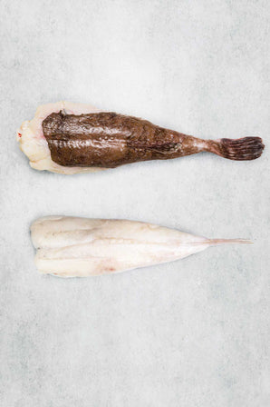 Online Seafood Market  Fresh Fish Delivered Next Day – Rockfish