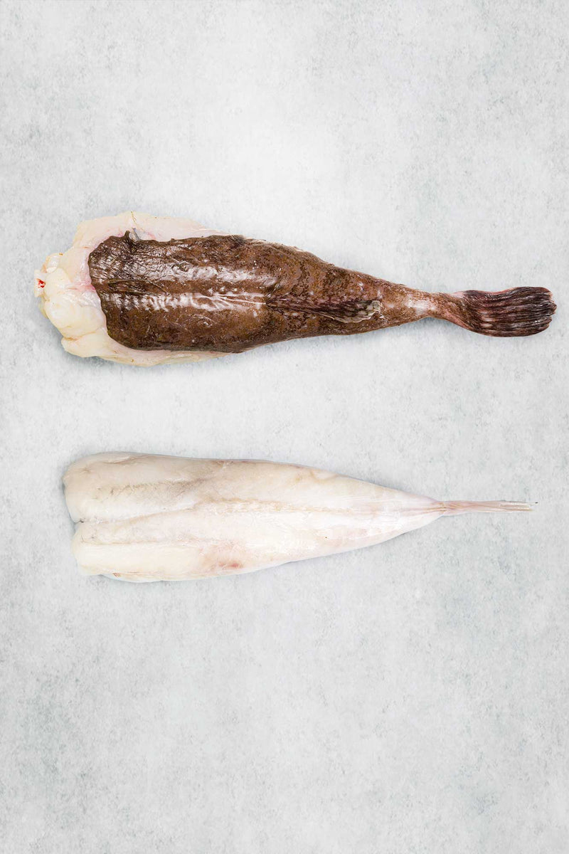 Monkfish Whole Tail for One - Frozen – Rockfish