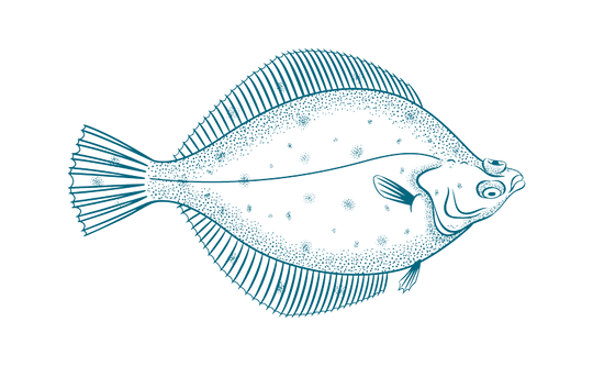 Poole – Rockfish