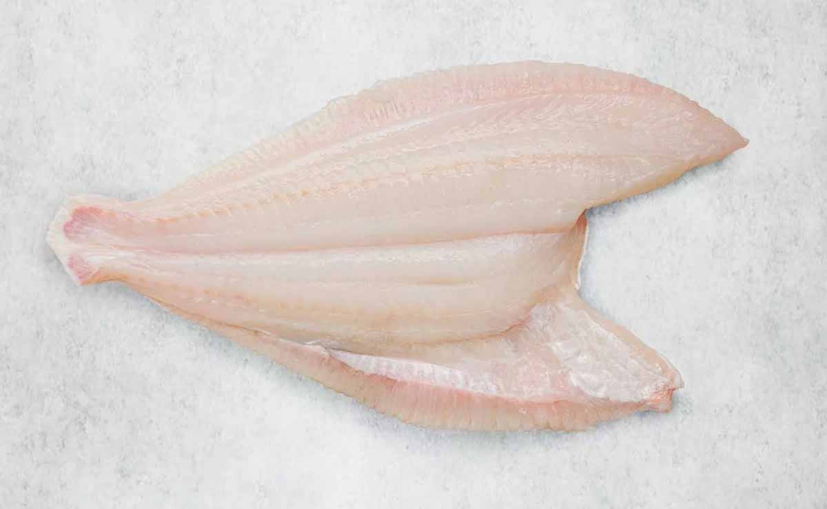 Fresh Plaice fillet prepared with tail and frill and skin removed - mobile