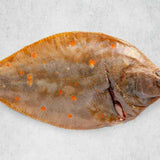 Plaice whole trimmed by Rockfish Online Seafood Market - mobile