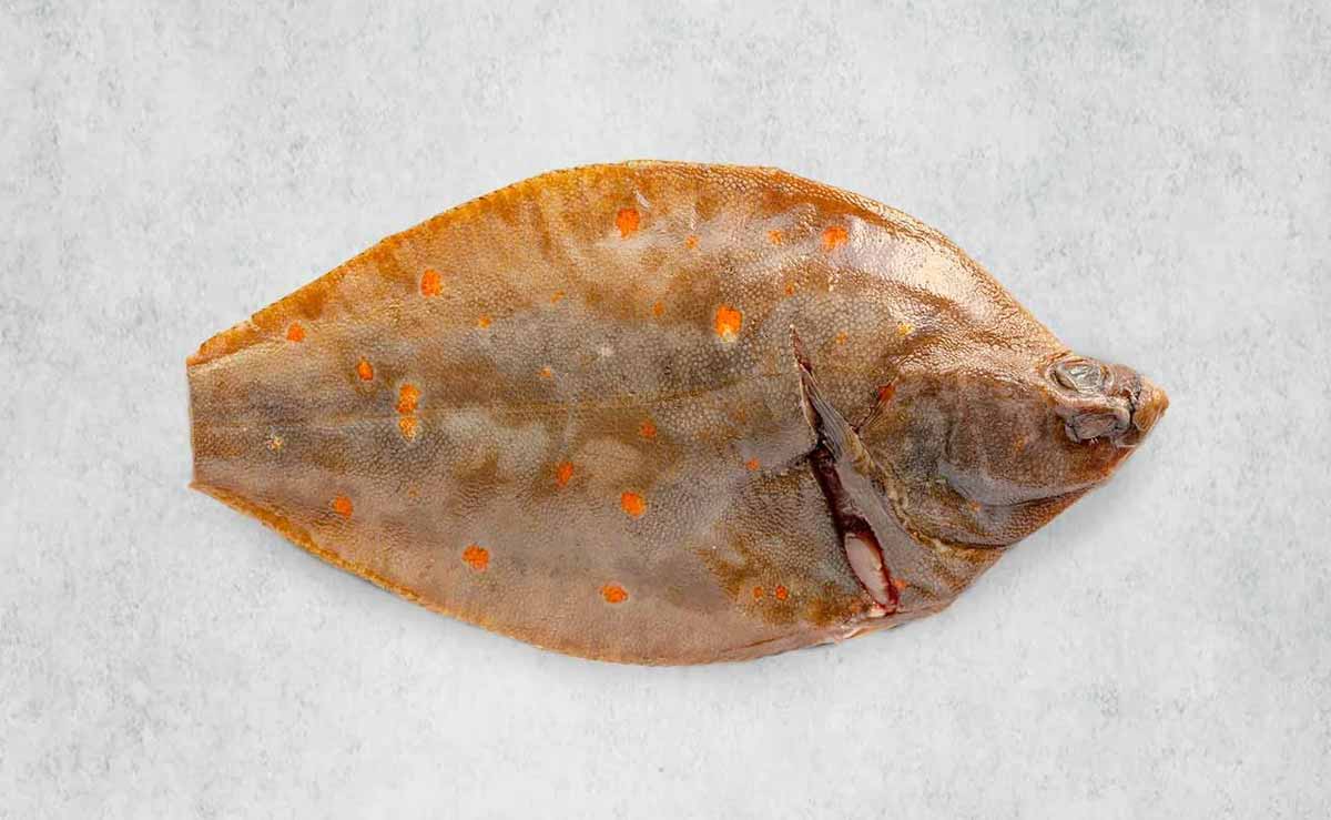 Plaice whole trimmed by Rockfish Online Seafood Market - mobile