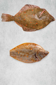 Plaice whole trimmed by Rockfish Online Seafood Market