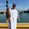Prime Fish - Monkfish
