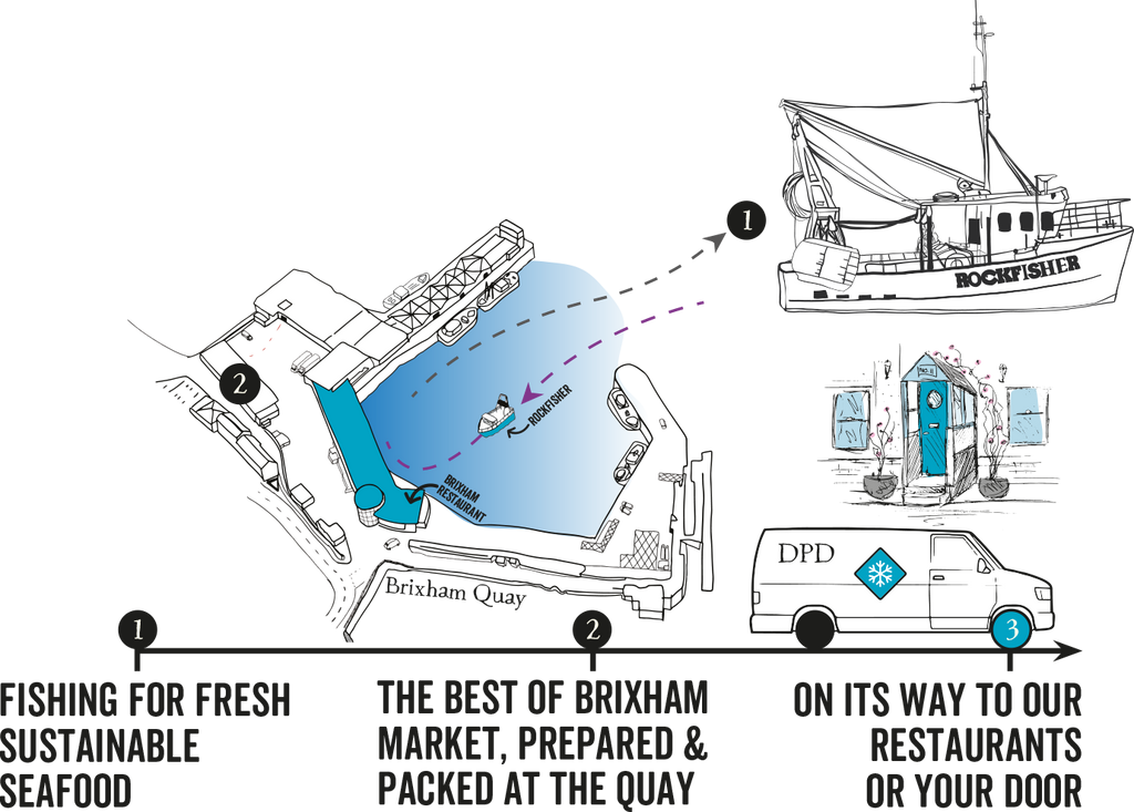 Rockfish Seafood Restaurants & Online Seafood Market Fresh Fish