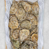 Fresh Fine de Claire Oysters