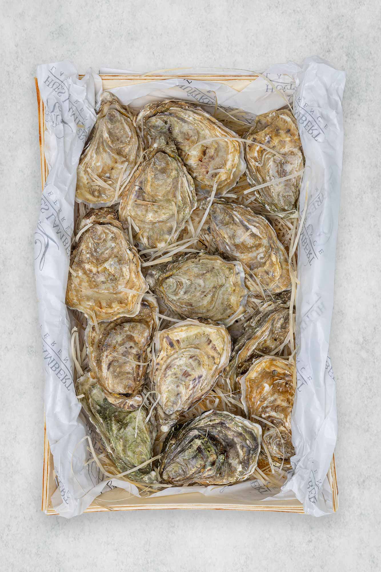 Fresh Oysters